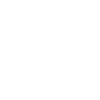 saree pleating icon